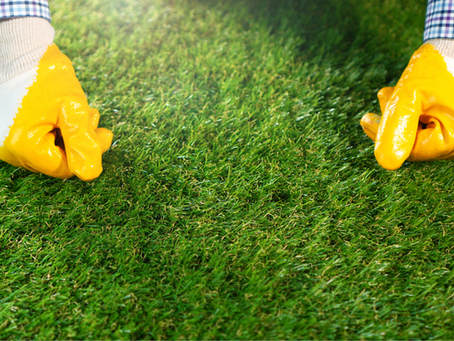 Why Choose Synthetic Grass?