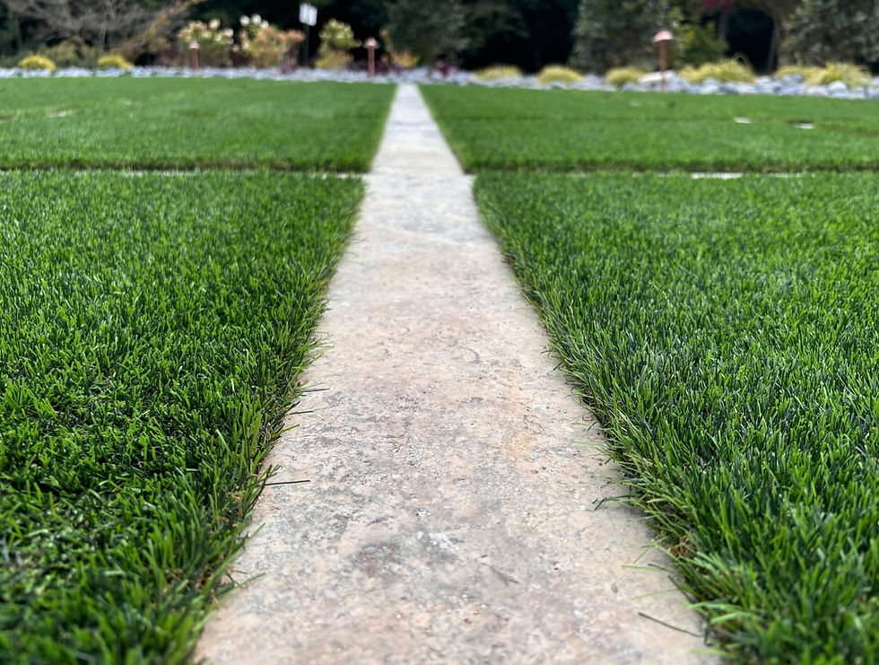 Artificial Grass vs. Real Grass: What’s Right for Your Lawn?