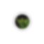 Untitled design (48).png