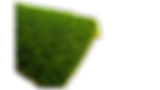 Home (2).png