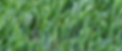 APPL-PLAY 68 CLOSE-UP.PNG