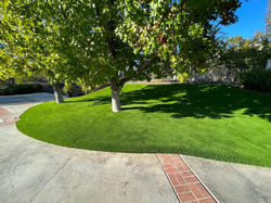 Artificial Grass install