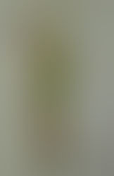 Thief's Quest Character Art, #2