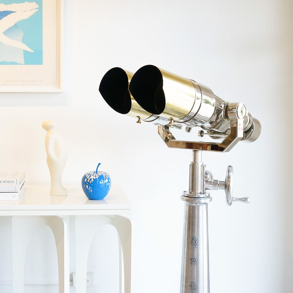 Nikko Binoculars / Nippon Kogaku 150MM diameter