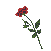 fall rose.gif
