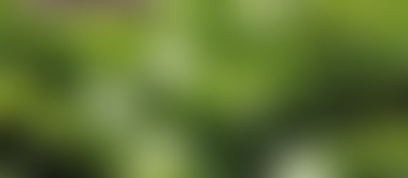 THE GLORY OF THE LORD - PART 5