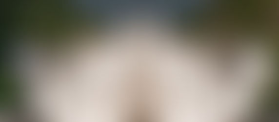 GUIDANCE FROM THE WORD