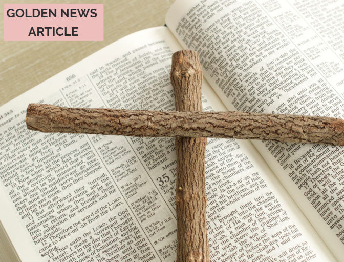 LAST ADAM'S EFFECT - PART 9