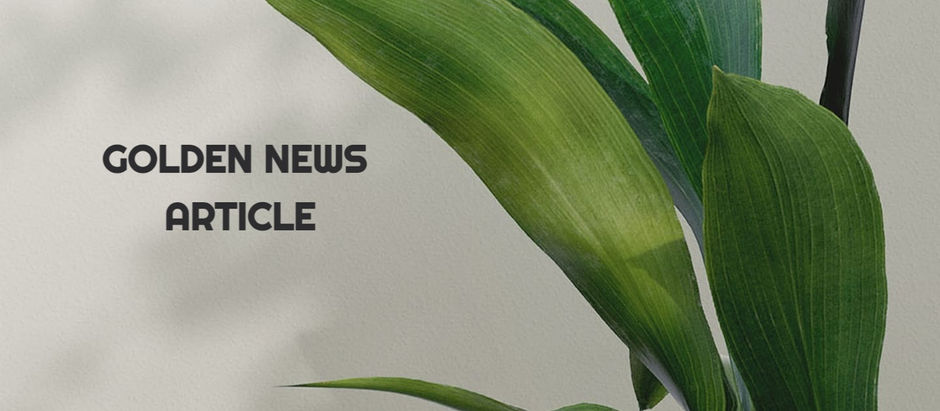 TRANSFORMED TOPOGRAPHY - PART 4