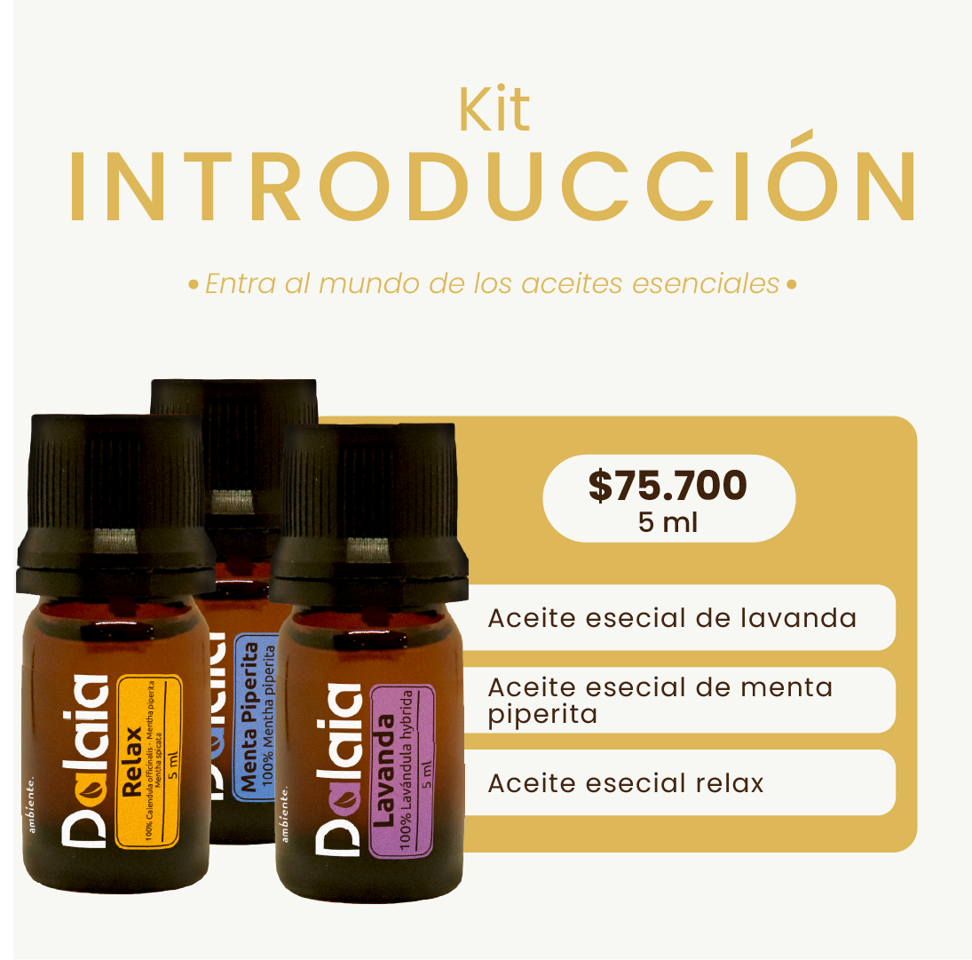 Kit Introducción 2025