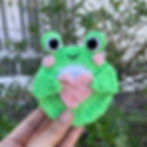 Crochet Green Frog Pouch Front View