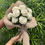 Thumbnail: Crochet Off White Rose Bouquet