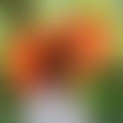 Everyone of us is...