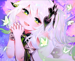 ナヒーダ