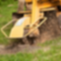 Stump Removal.png