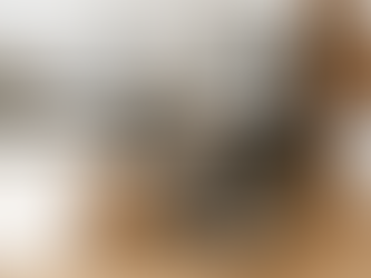 Universal Kitchen Design: Accessibility Tips for Ontario Homes