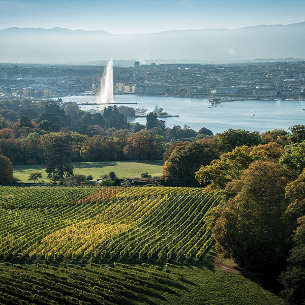 Travel to Geneva with McNellis Travel this holiday season.