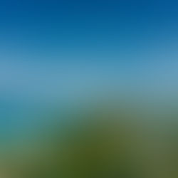 A Holiday Escape That Can Still Happen: Last-Minute Sunwing Vacations