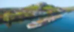 Viking cruises banner.webp