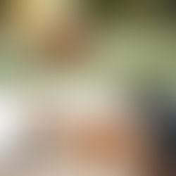 How Repetitive Play (Fetch, Tug, Running) Creates Muscle Imbalance