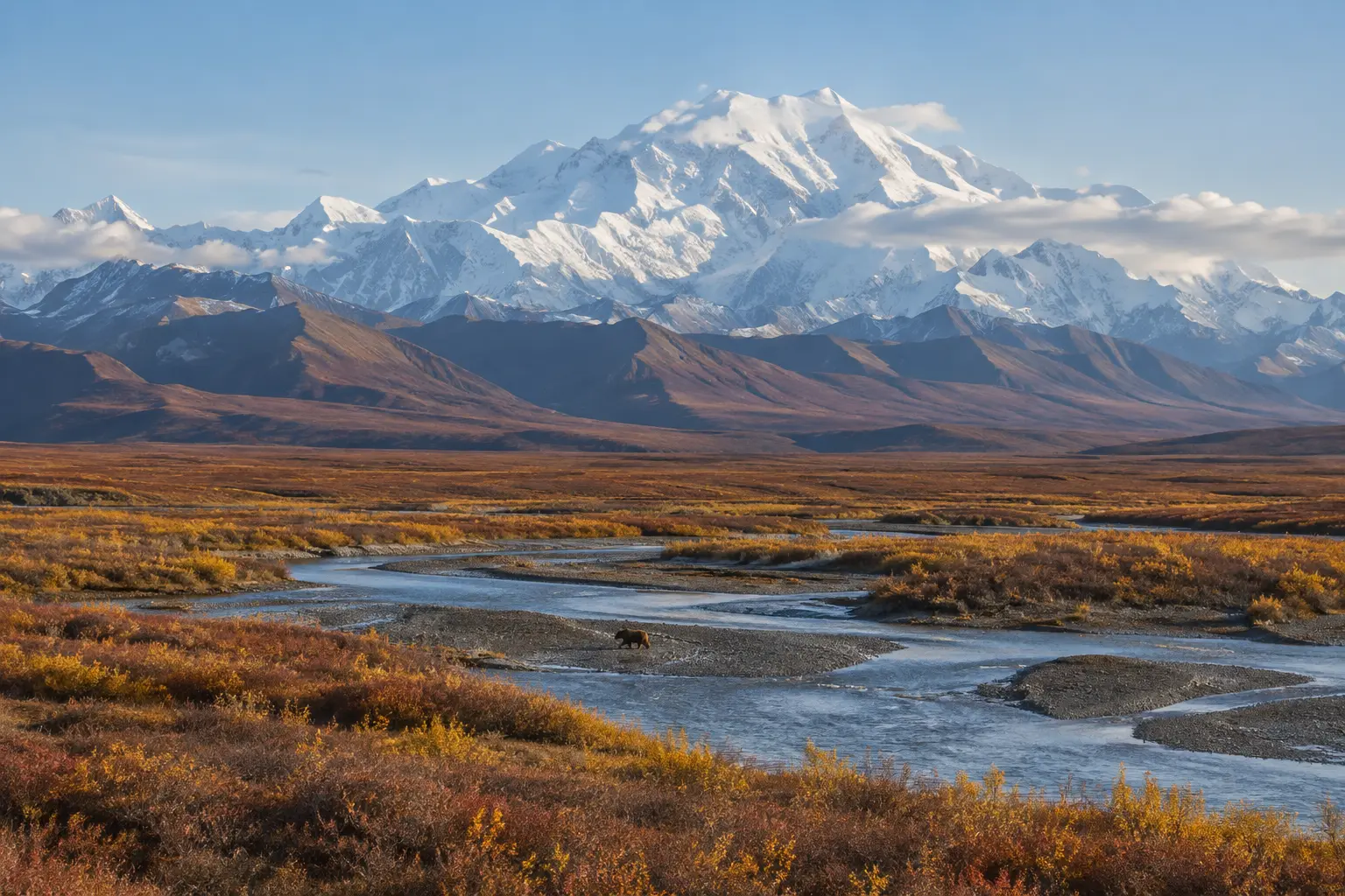 Denali rising above autumn tundra in Denali National Park, Alaska