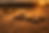 cool banner.png