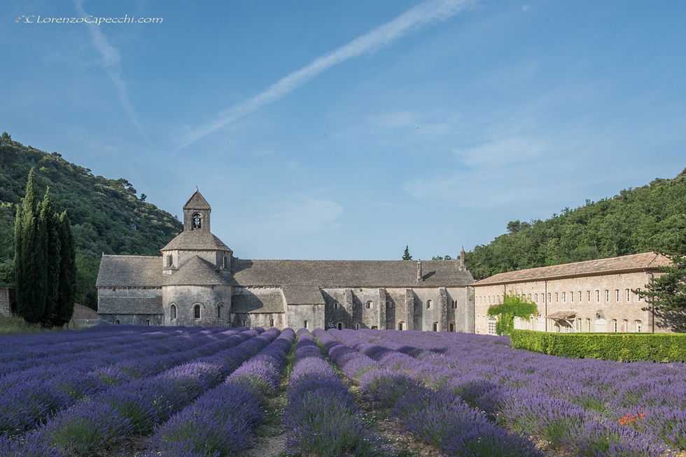 Abbaye Notre-Dame de Sénanque