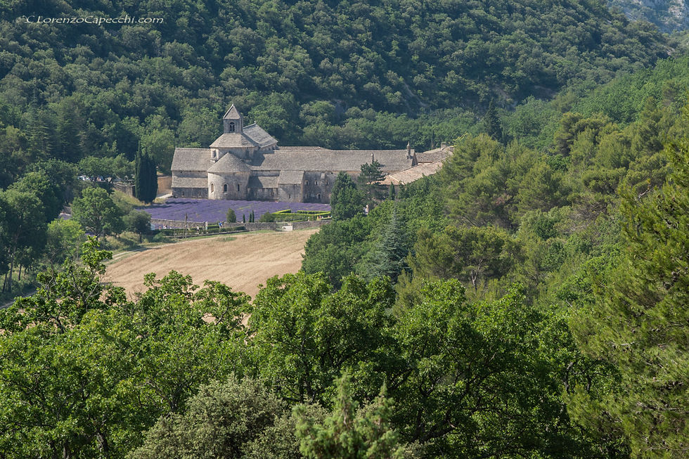 Abbaye Notre-Dame de Sénanque
