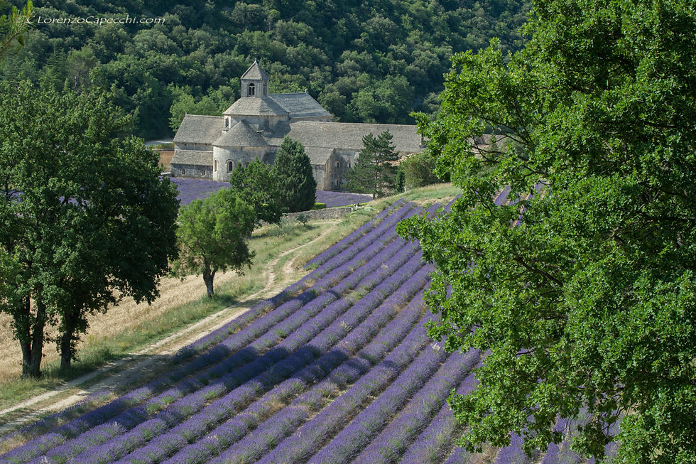 Abbaye Notre-Dame de Sénanque