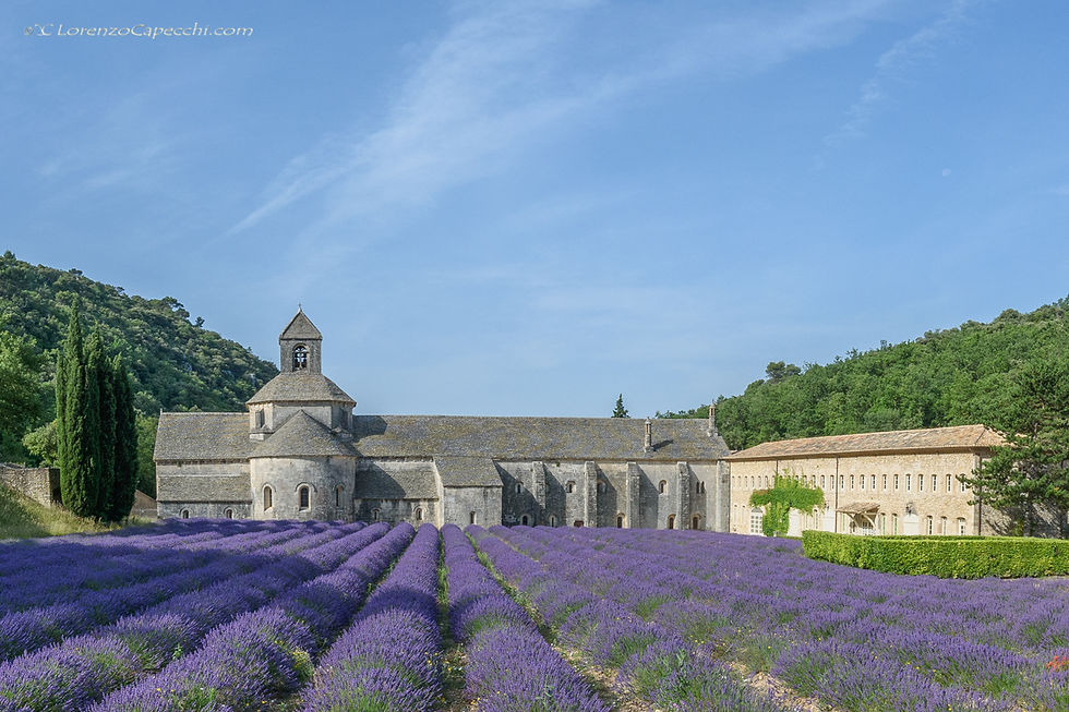 Abbaye Notre-Dame de Sénanque