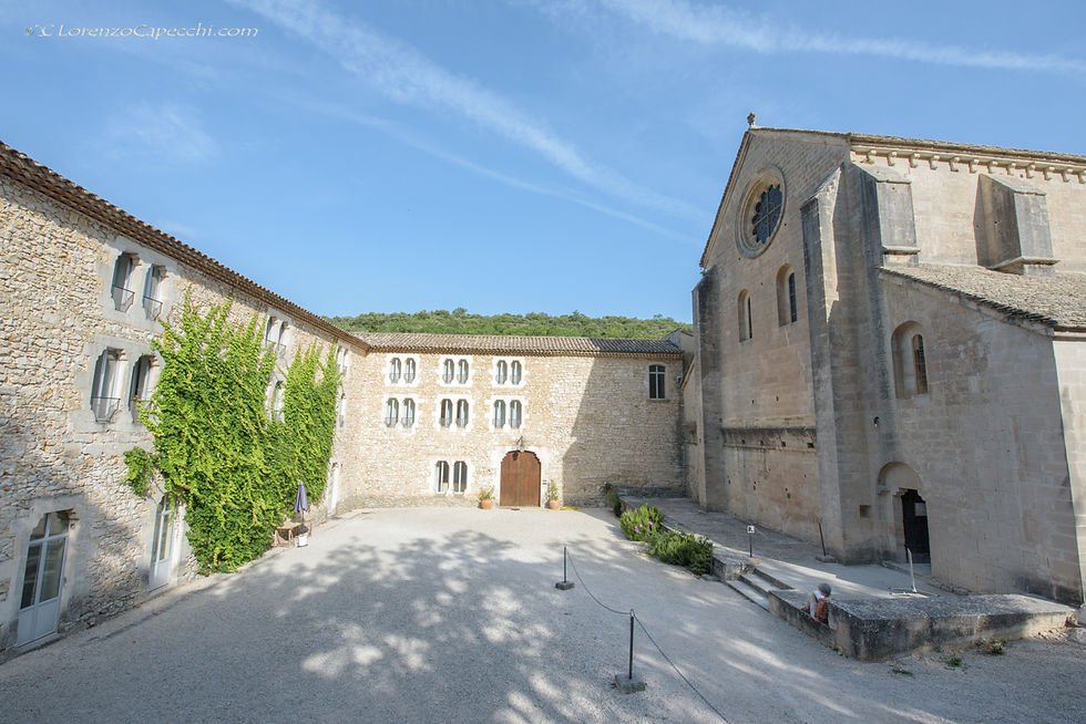 Abbaye Notre-Dame de Sénanque
