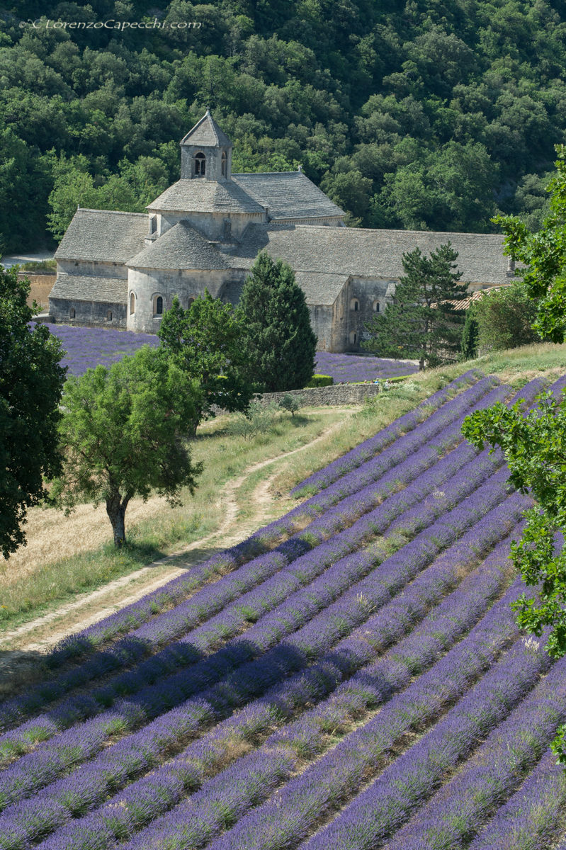 Abbaye Notre-Dame de Sénanque