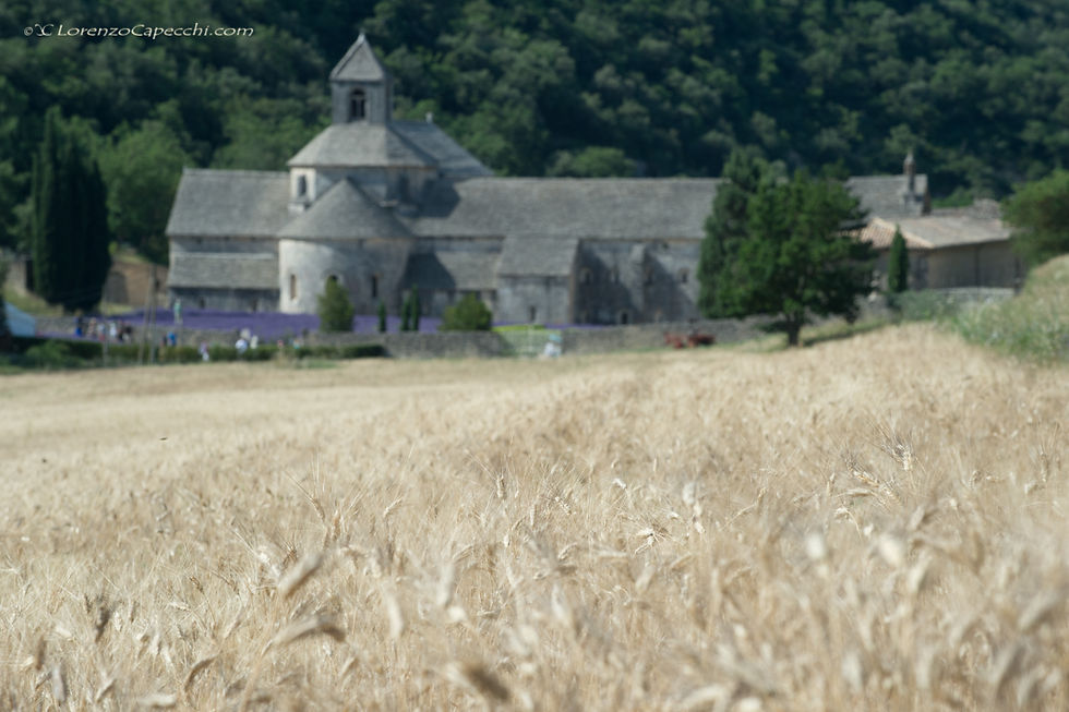 Abbaye Notre-Dame de Sénanque