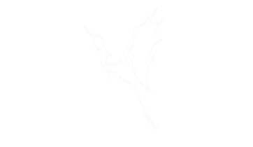flyingheron_edited.png