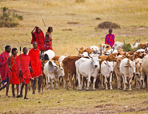Helping Maasai Tribes