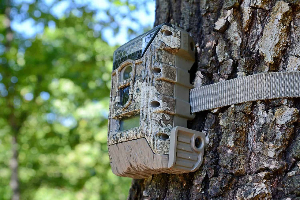 Audio detection device.