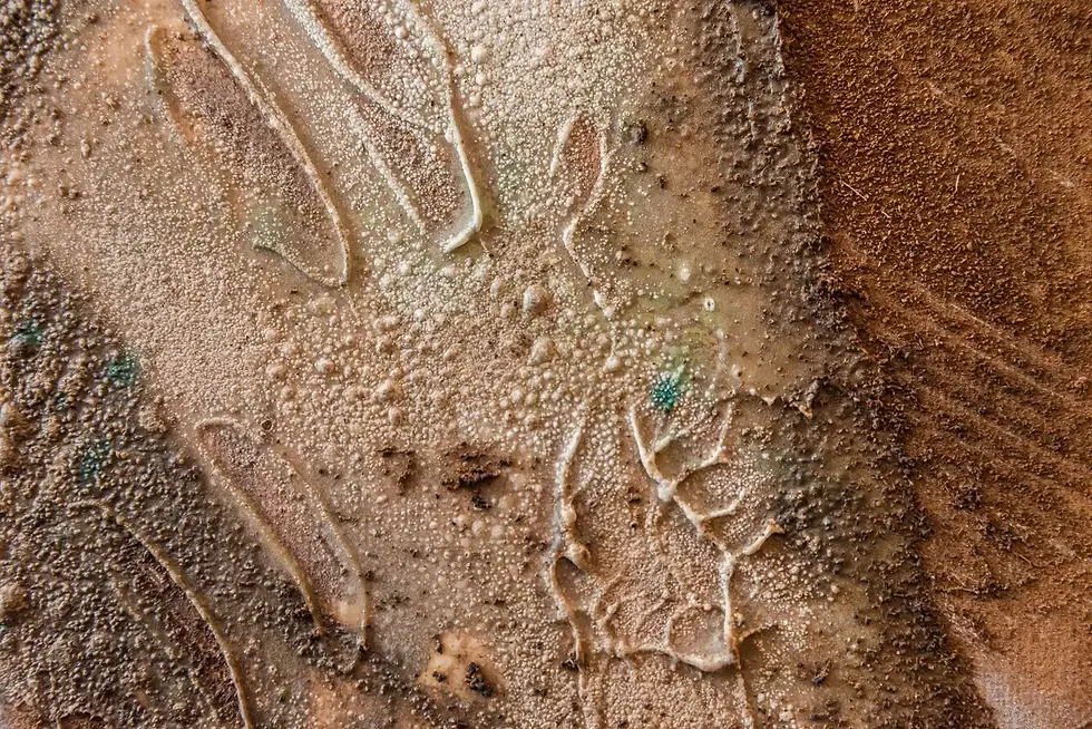 Miniature : Hervé Half (1955-2016), huile sur toile, 2005, France