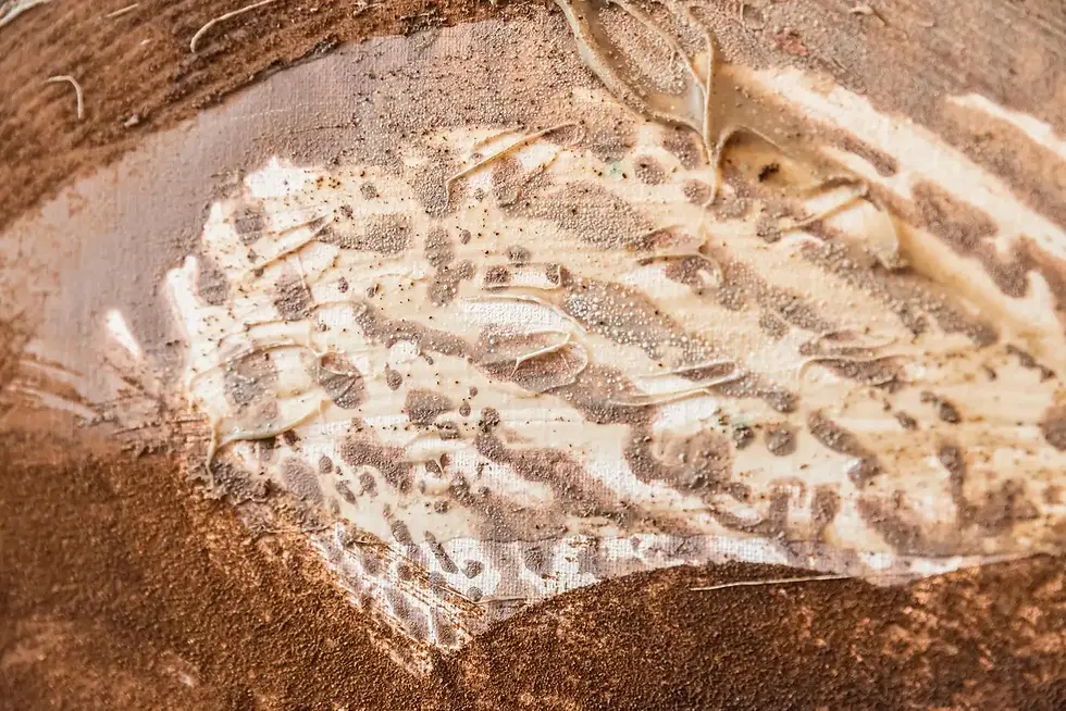 Miniature : Hervé Half (1955-2016), huile sur toile, 2005, France