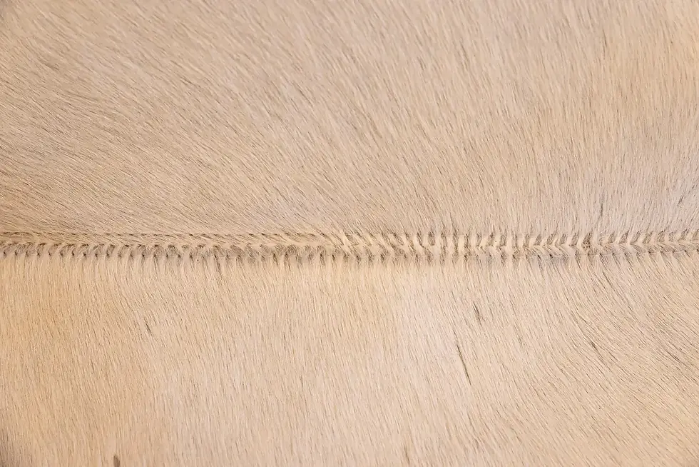 Miniature : Paire de fauteuils JJ d'Antonio Citterio pour B&B Italia, Italie, 2012