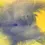 Miniature : Peinture de Jacob en semi-aquarelle, Aquarelle, vers 1950-1962, États-Unis