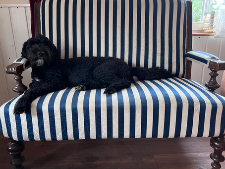 Alles für die Prinzessin!