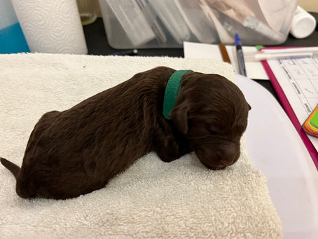 Erster „Trainings-Tag“