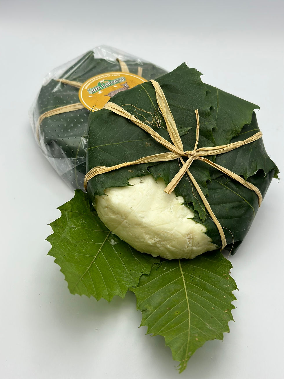 Castanì