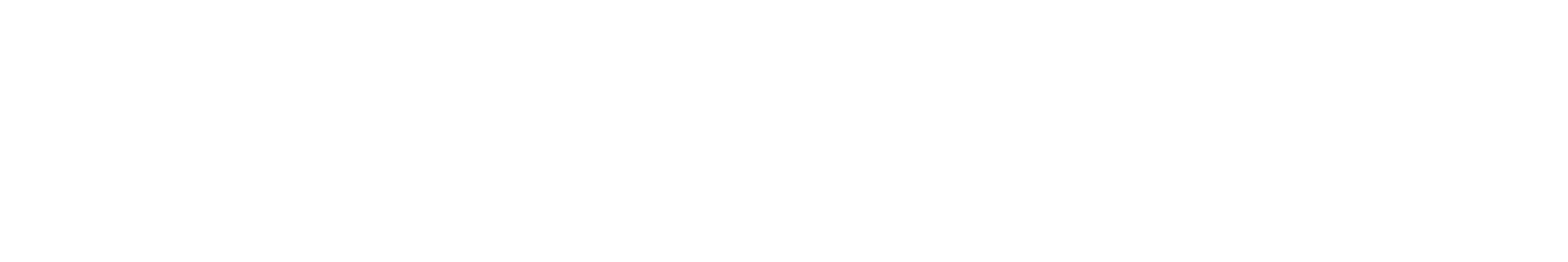 -_Horizontal LogoMark + LogoType (White).png