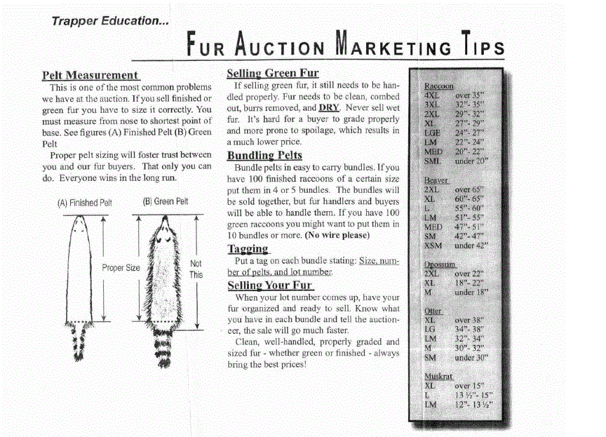 Fur_marketing_tips.gif
