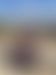 Peace on Earth: I Wish