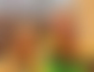 Family Health & Holidays