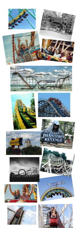 Roller Coaster Trivia