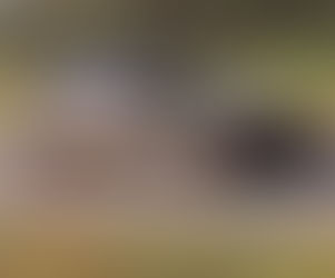 1975 Fiat X1/9 Dallara by Bertone