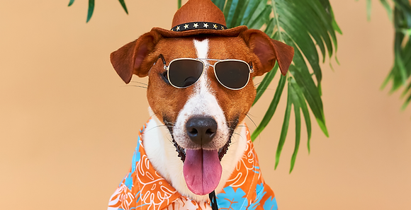 AMSC Pricing (2).png